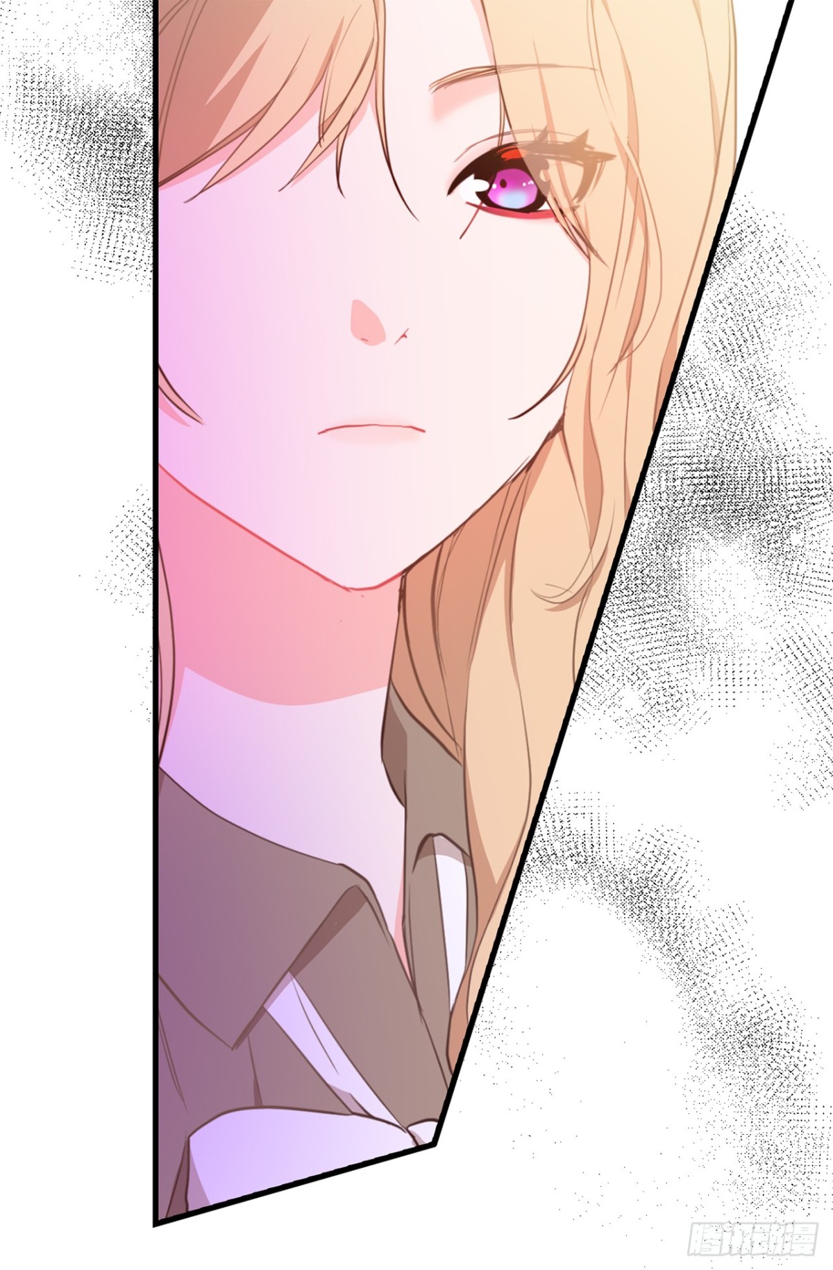 19.设计再次被盗用8