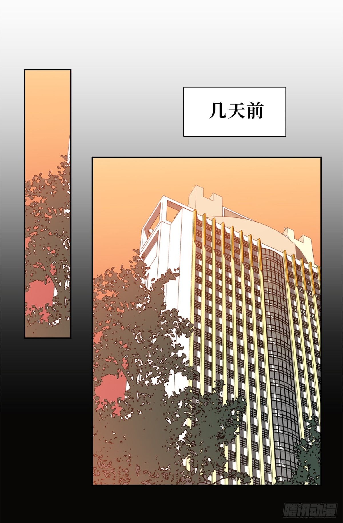 28.亲自试探11