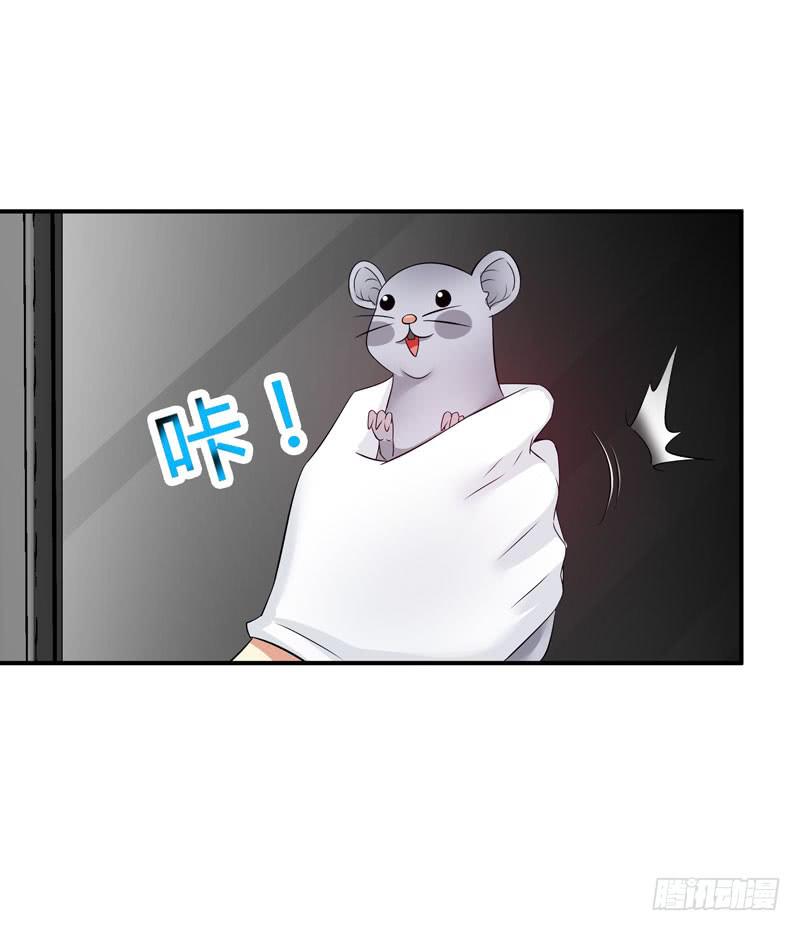 老鼠来袭27