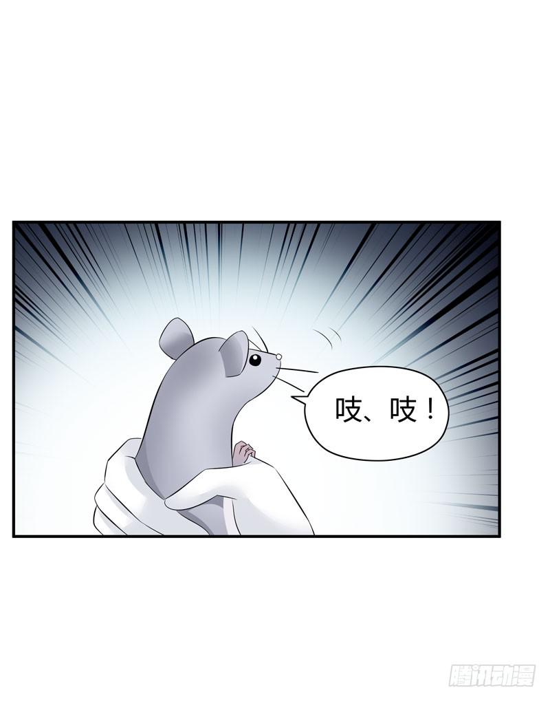 老鼠来袭30