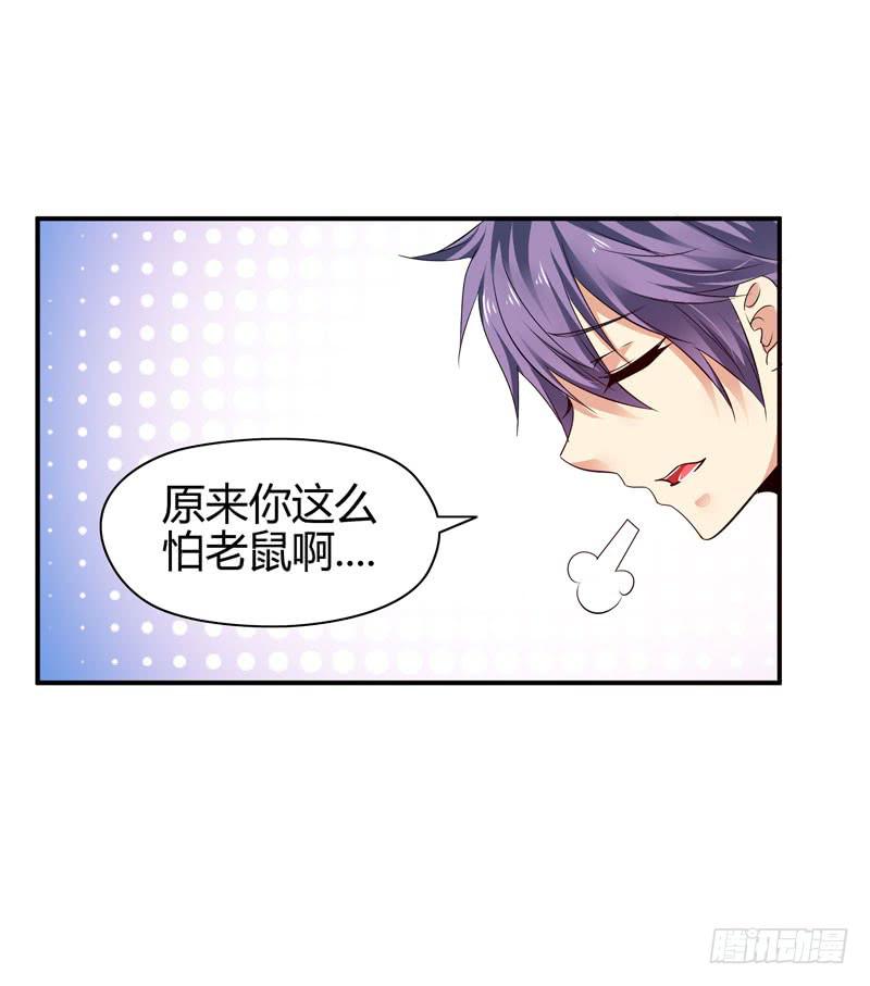 老鼠来袭36