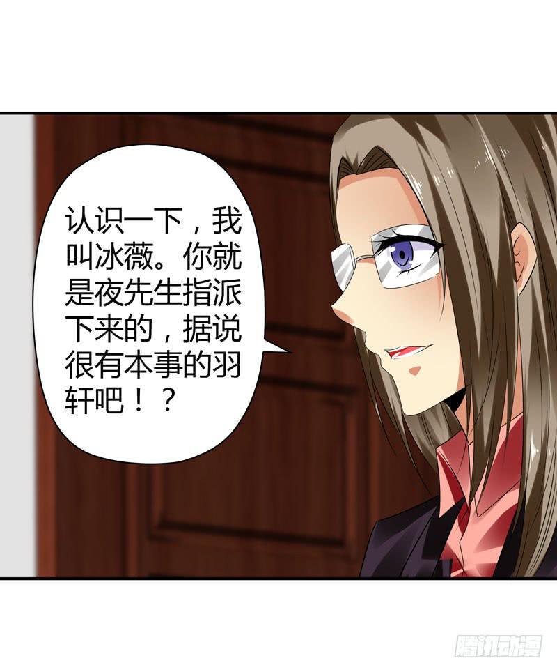 阴谋再现12