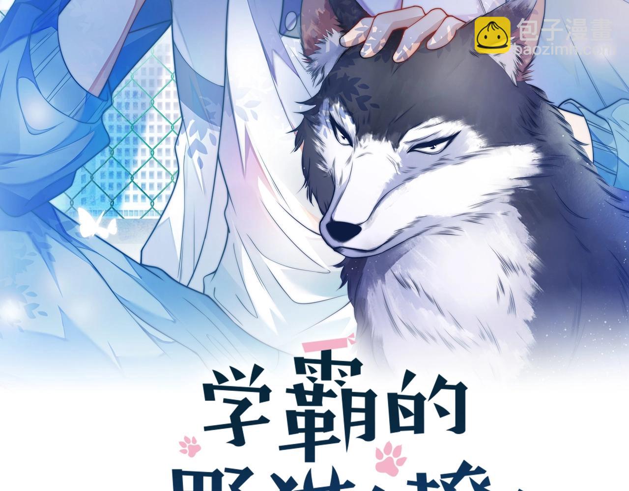 第7话 猫猫落水1