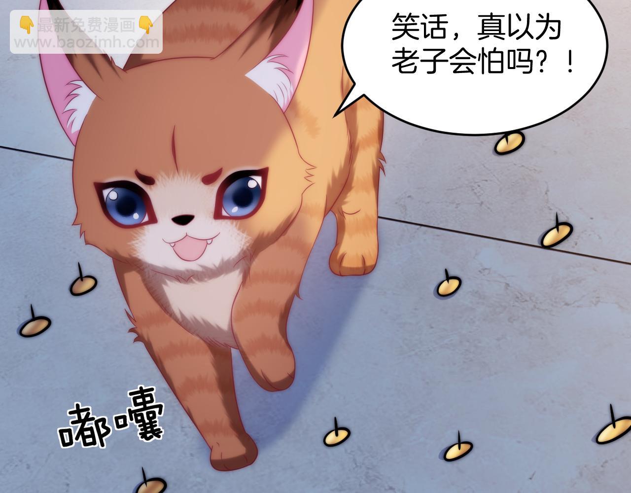 第16话 半夜吸猫37