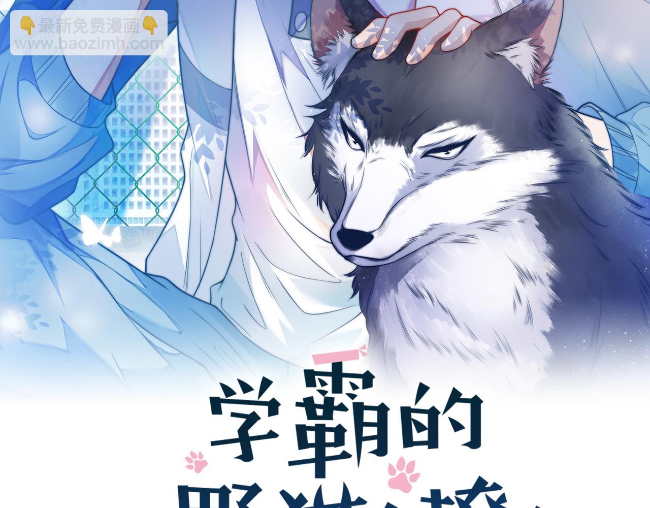 第69话 你怪迷人的1