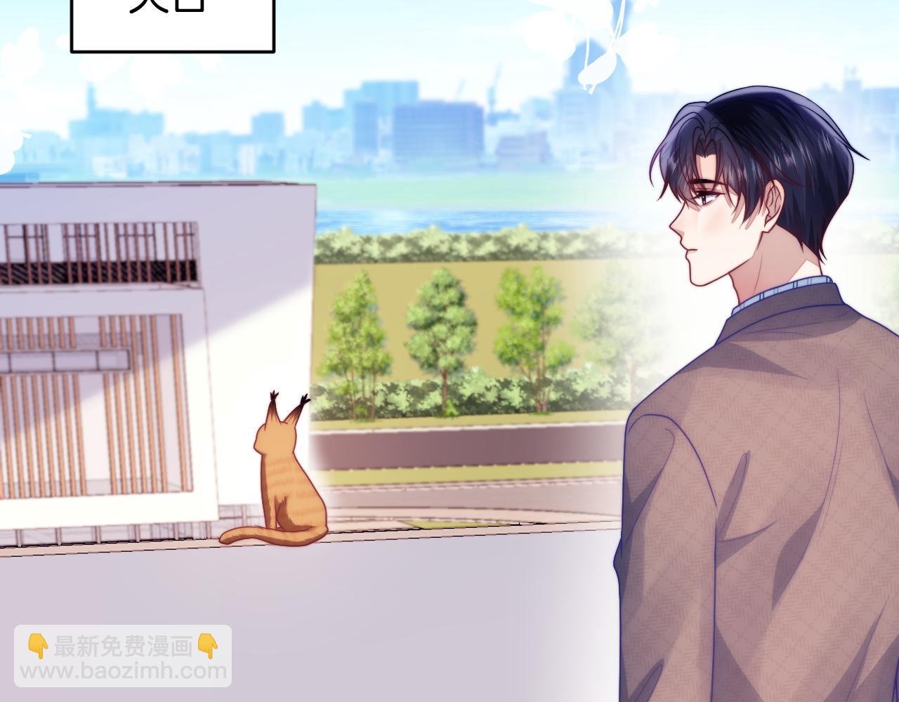 第80话 猫的爱很简单16