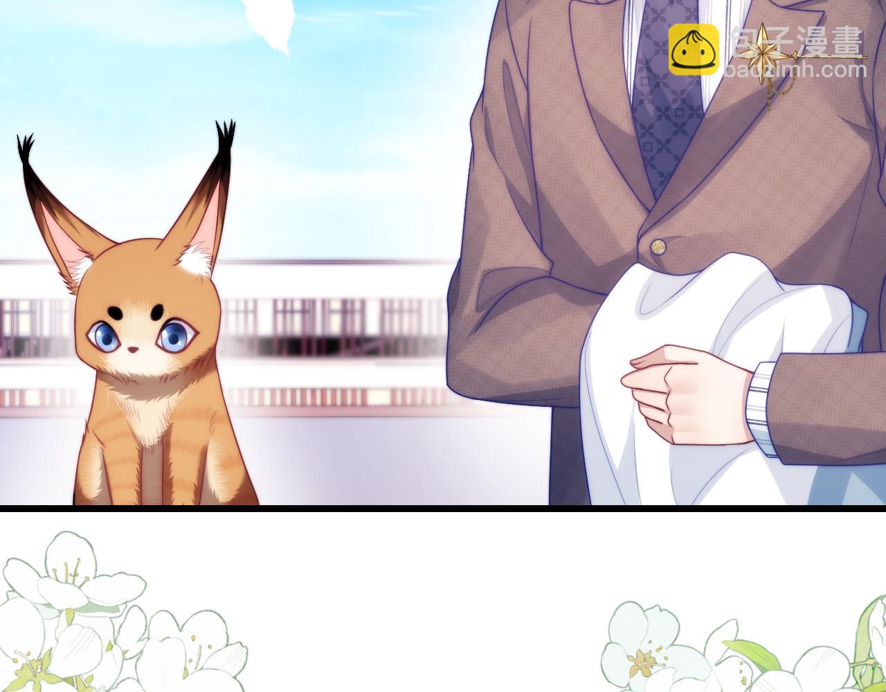 第80话 猫的爱很简单19