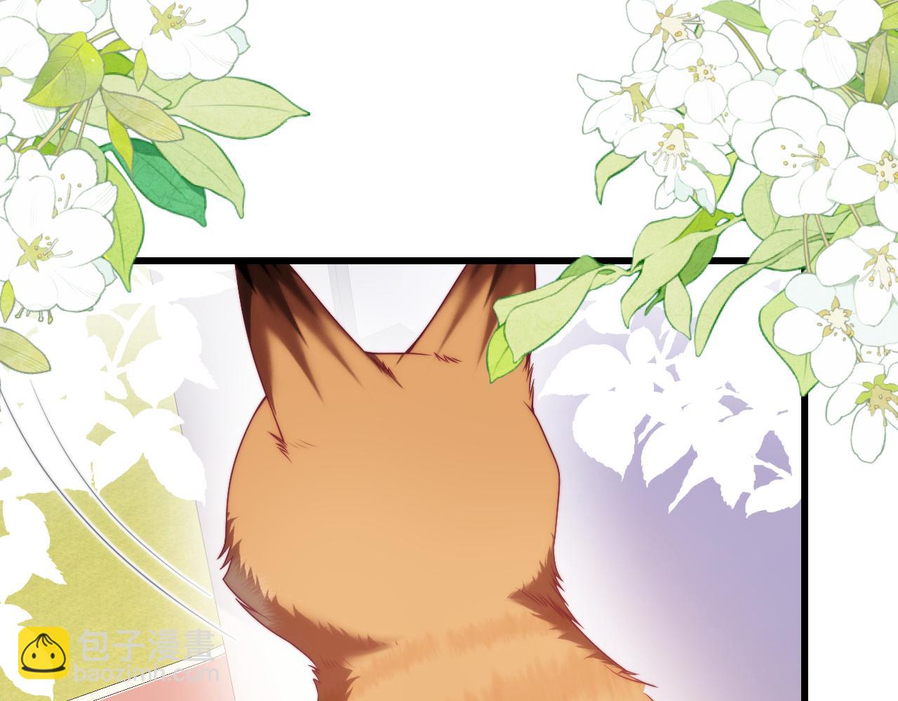 第80话 猫的爱很简单20