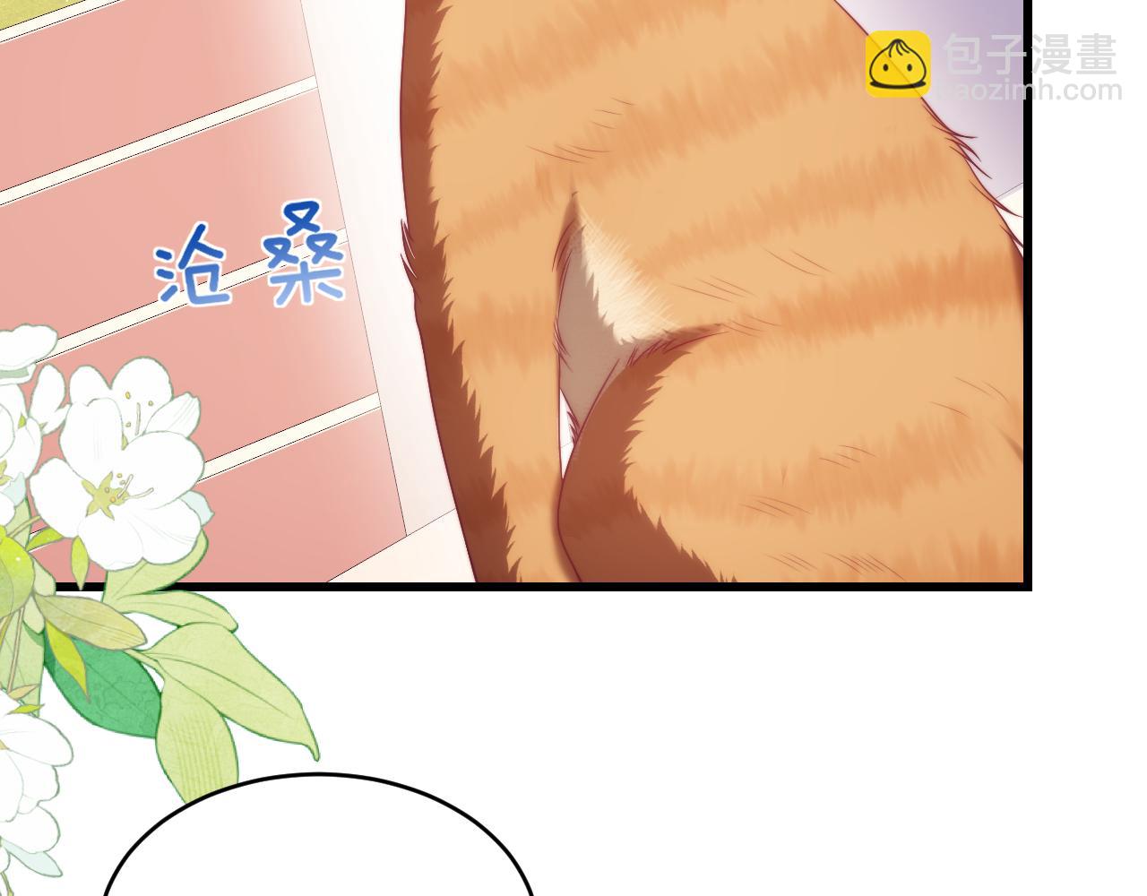 第80话 猫的爱很简单21