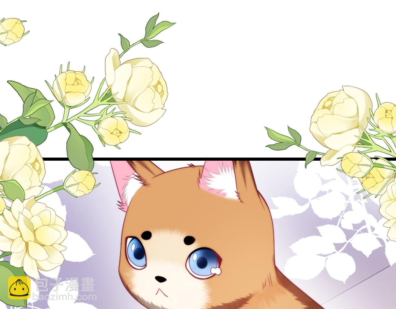 第80话 猫的爱很简单24