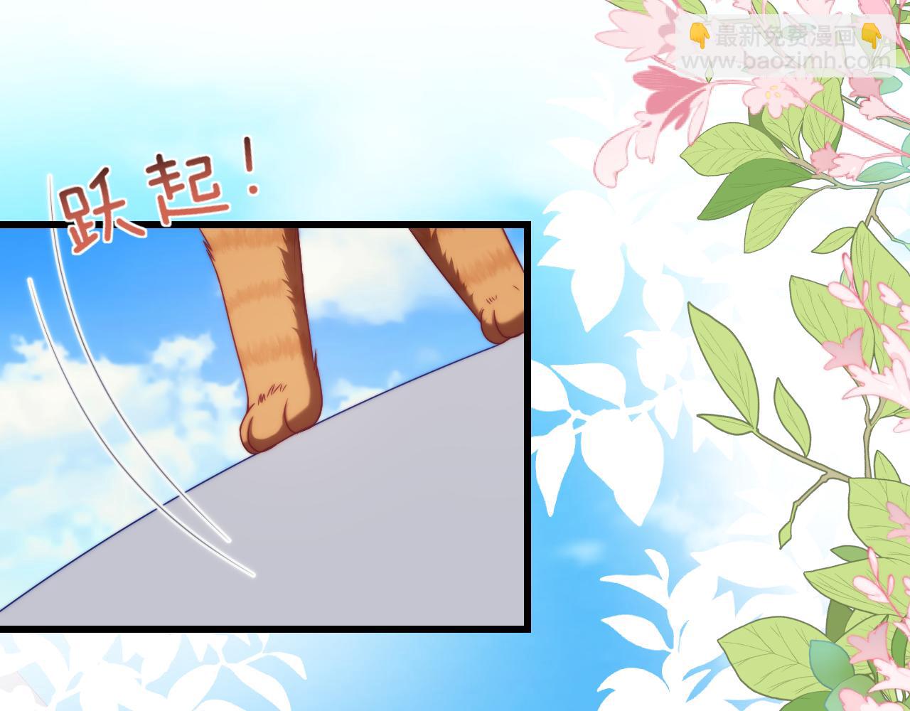 第80话 猫的爱很简单28