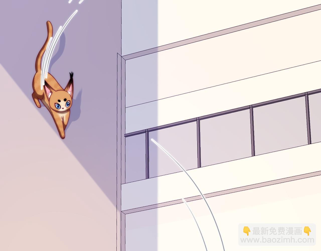 第80话 猫的爱很简单30