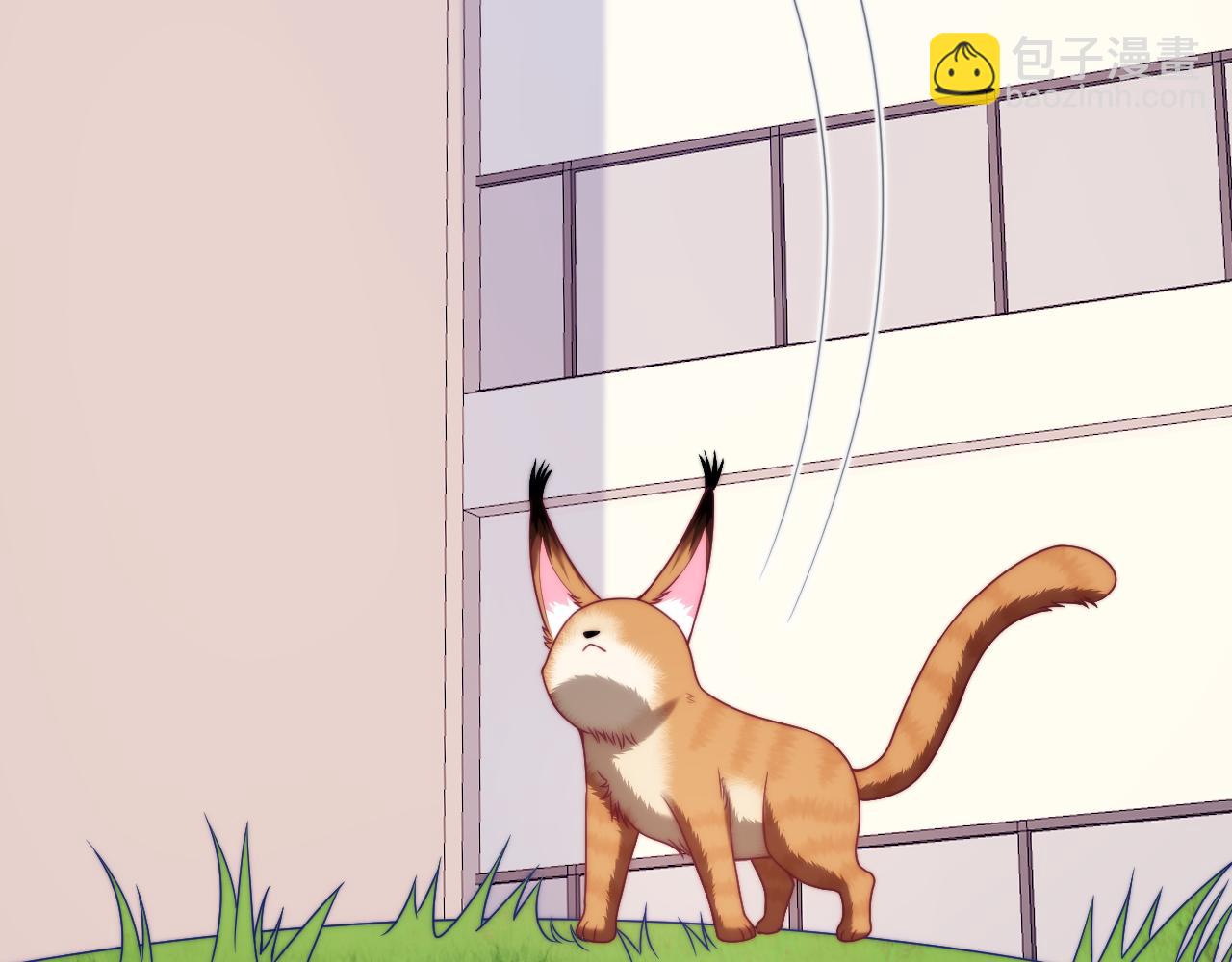 第80话 猫的爱很简单31