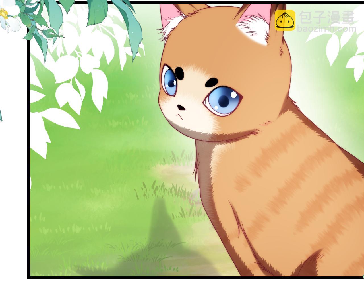 第80话 猫的爱很简单33