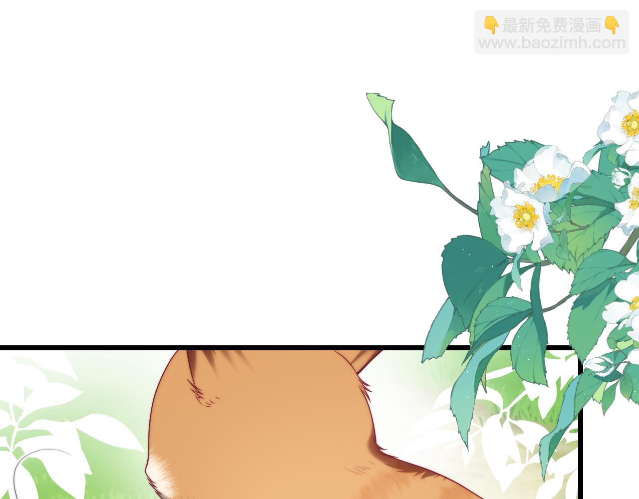 第80话 猫的爱很简单34