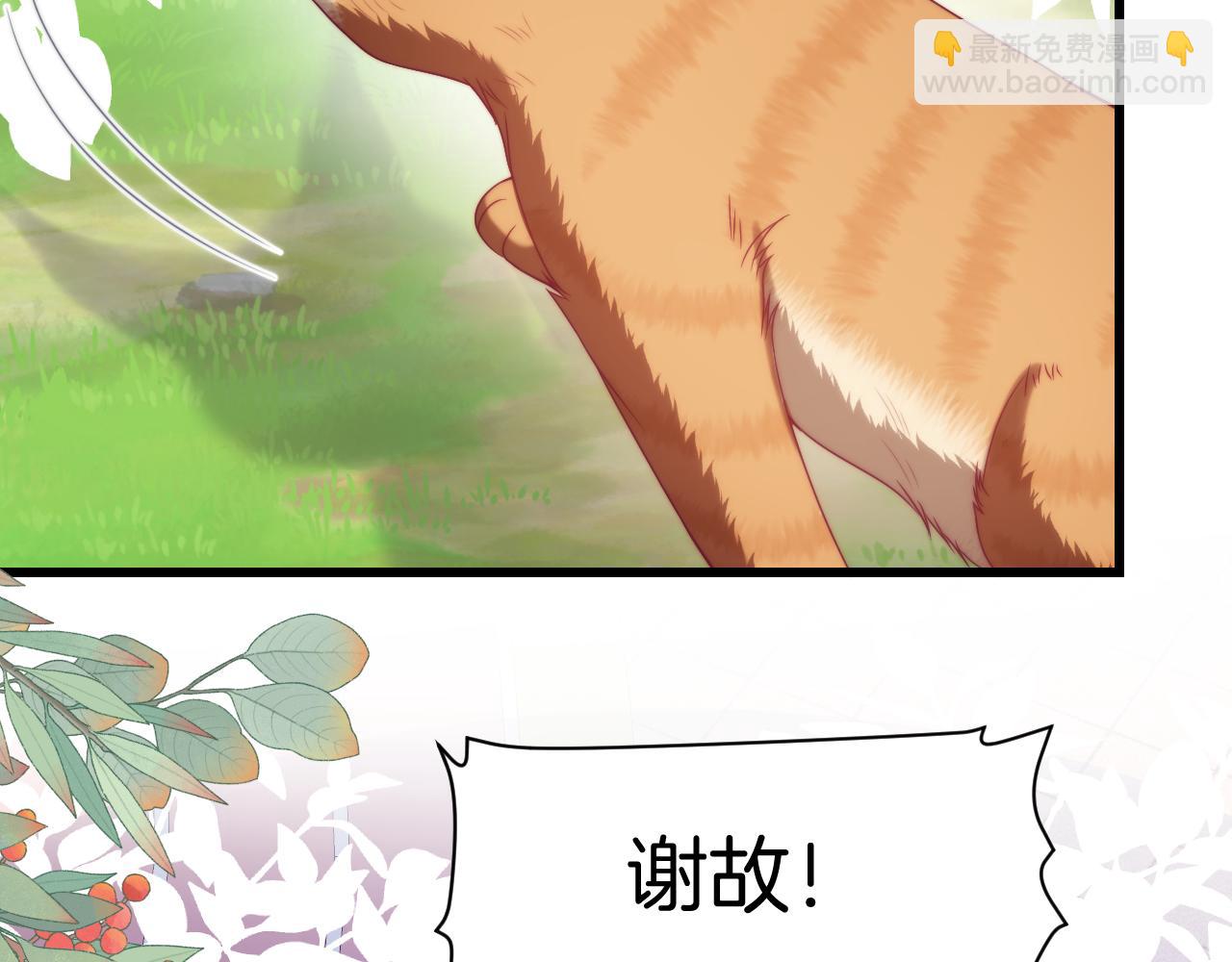 第80话 猫的爱很简单35