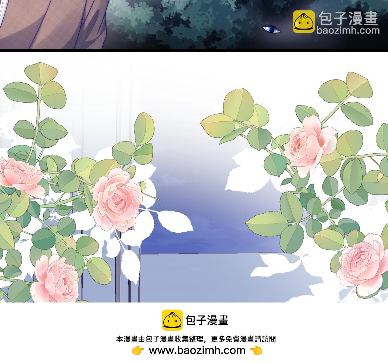 第80话 猫的爱很简单49