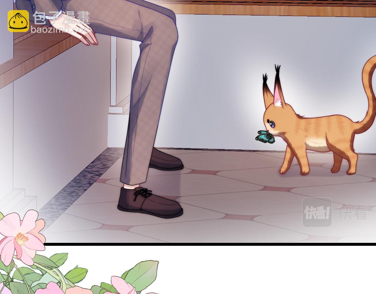 第80话 猫的爱很简单55