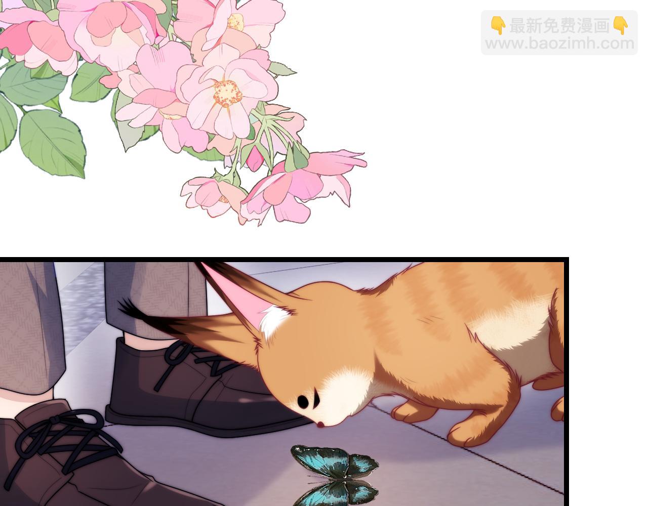 第80话 猫的爱很简单56