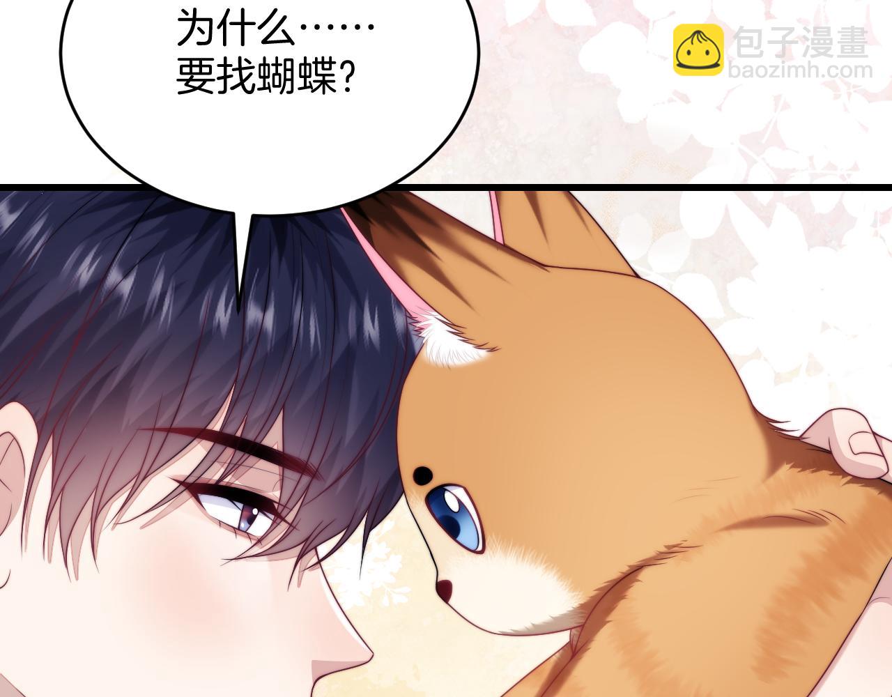 第80话 猫的爱很简单62