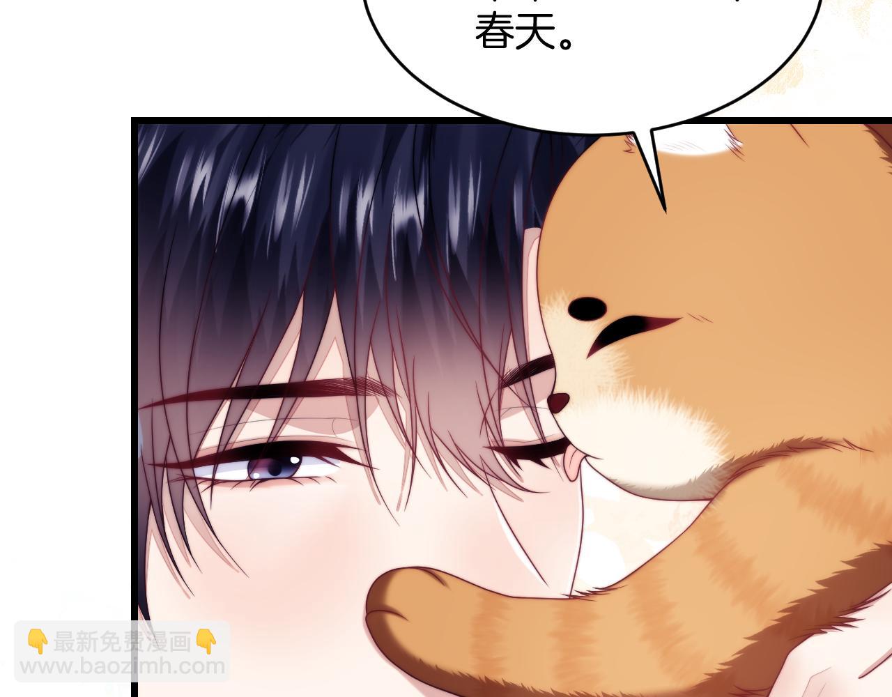 第80话 猫的爱很简单64