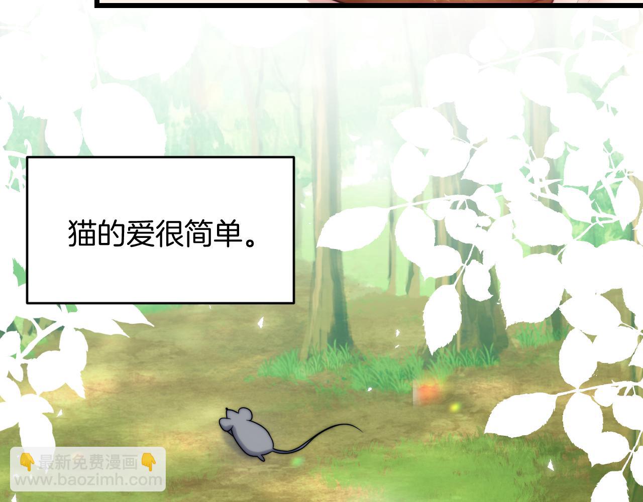 第80话 猫的爱很简单65