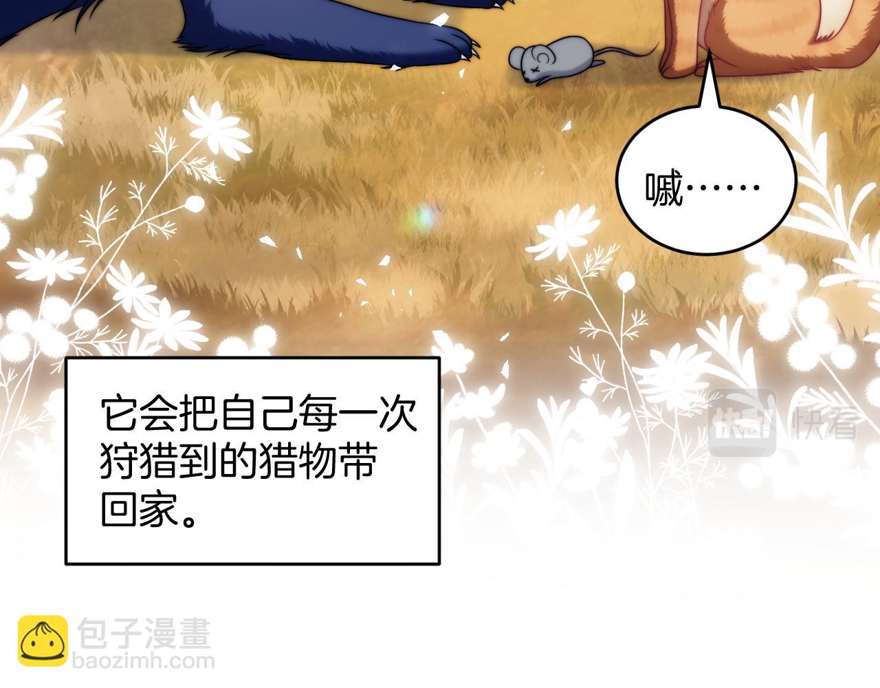 第80话 猫的爱很简单68