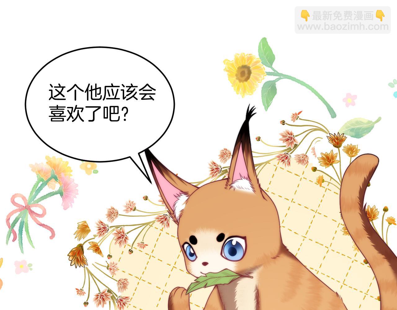 第80话 猫的爱很简单70