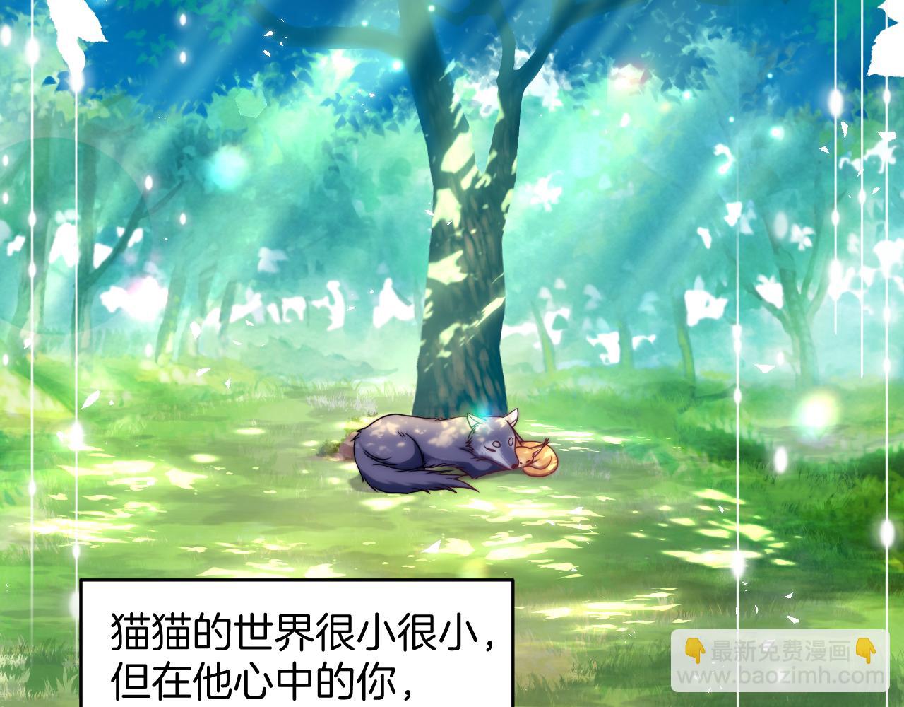 第80话 猫的爱很简单72