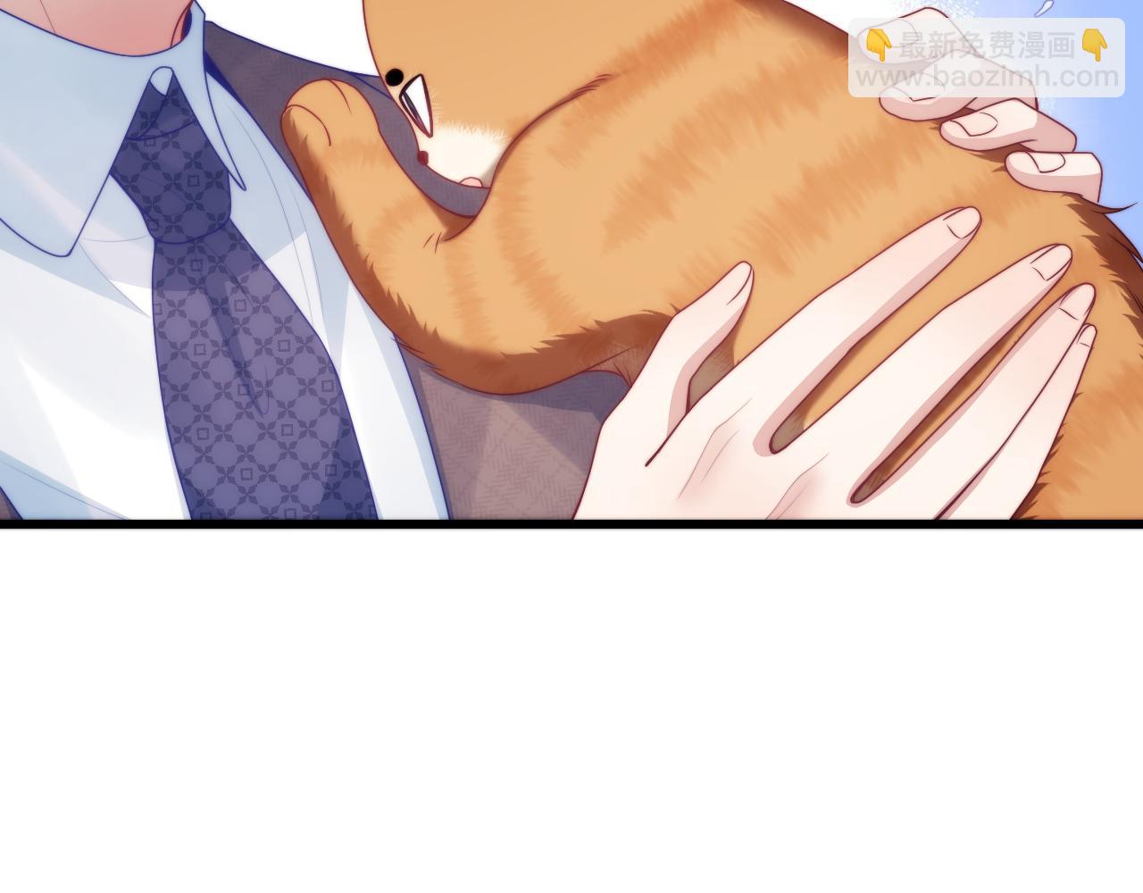 第80话 猫的爱很简单77