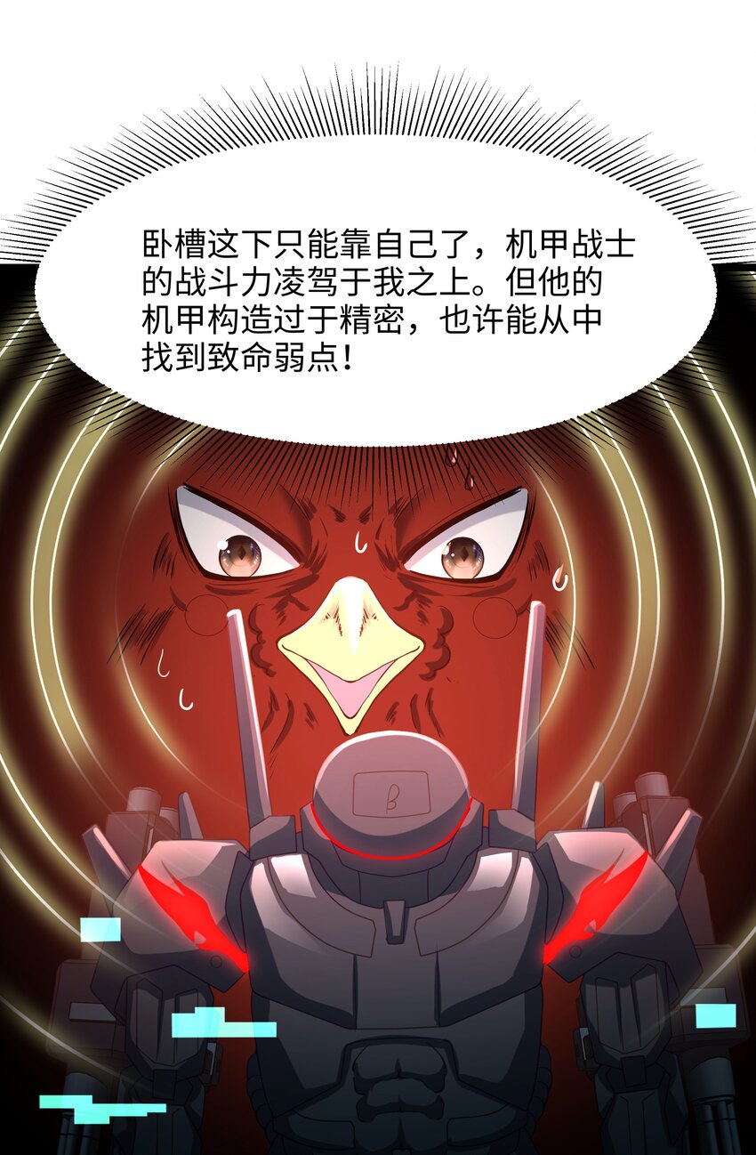 060 最强战斗鸡30