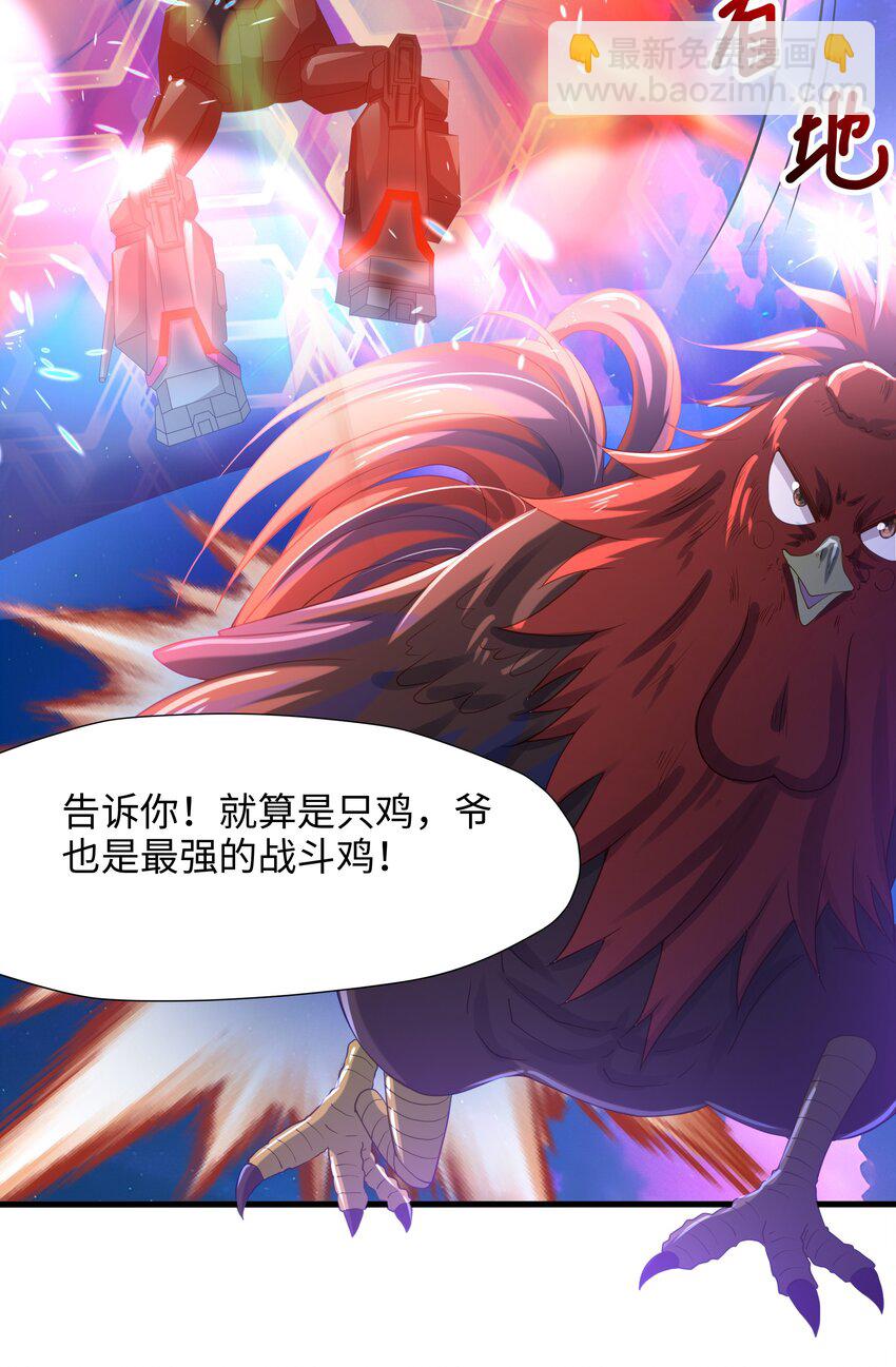 060 最强战斗鸡42
