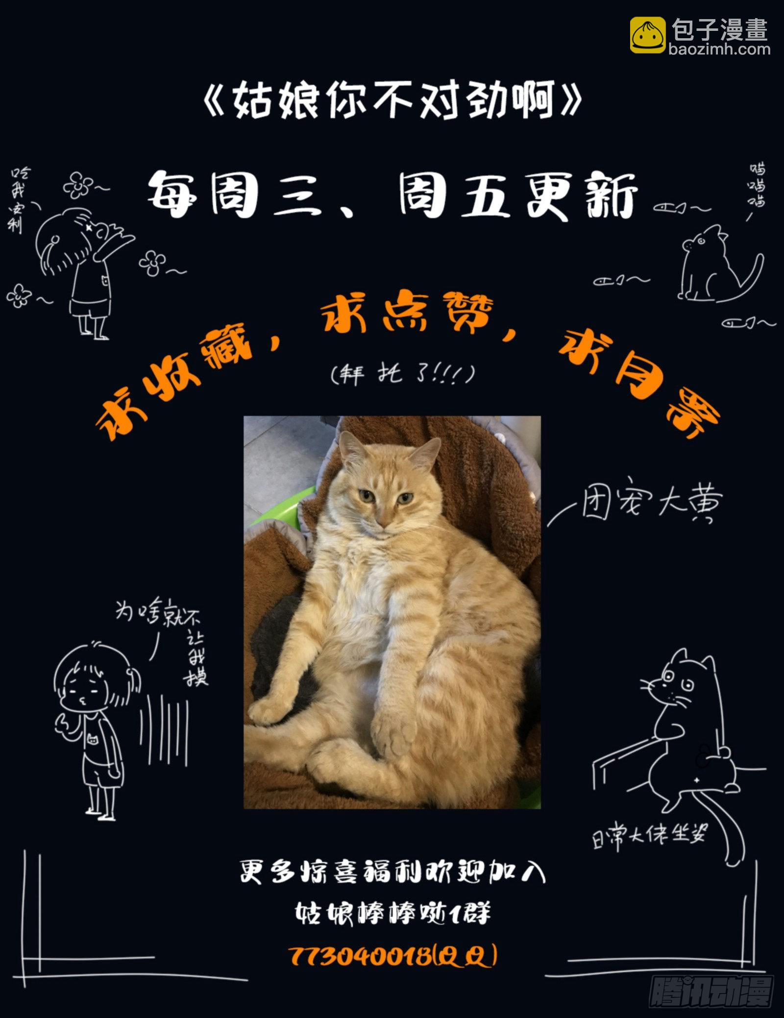 第53话：单独谈谈13