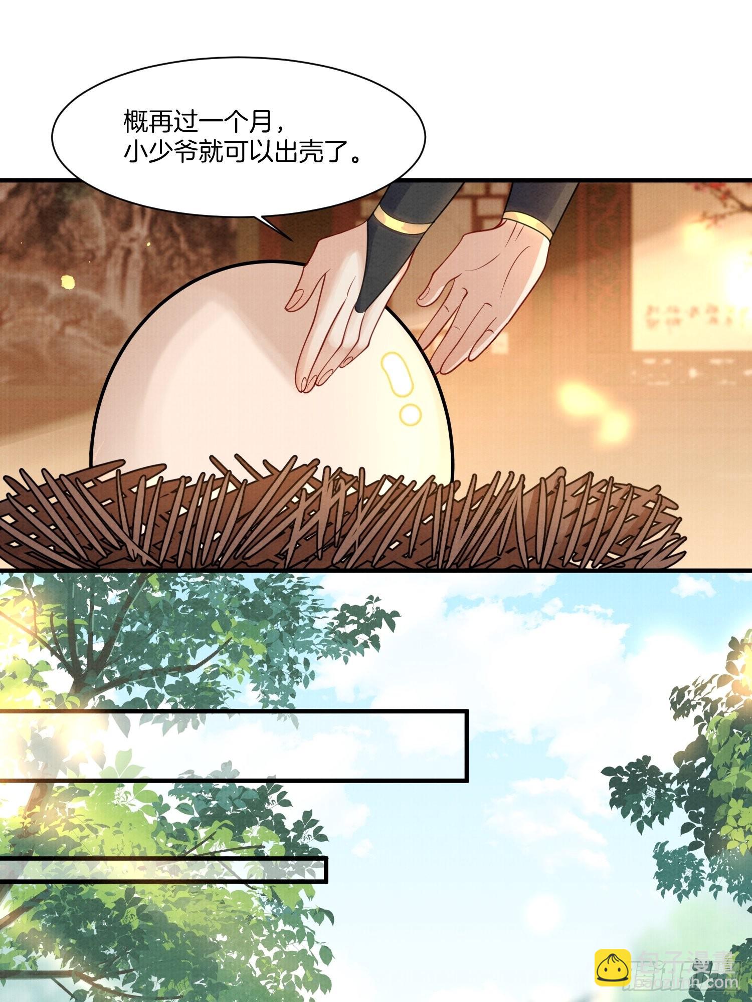 13.那颗蛋动了11