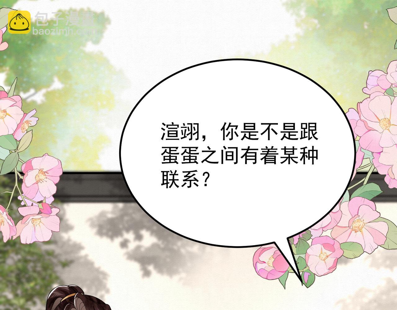 66.蛋蛋的来历21