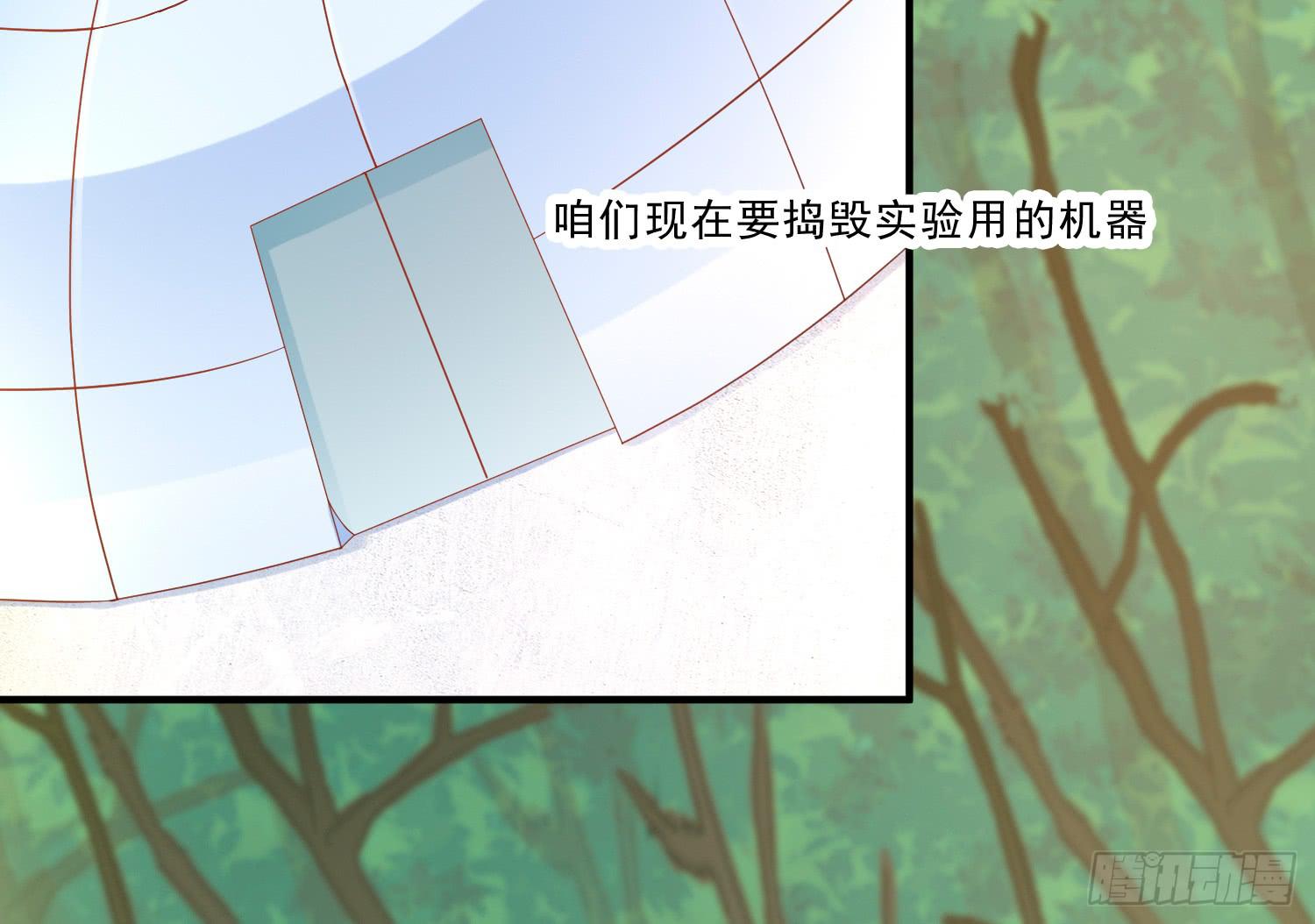崩溃与赴死41