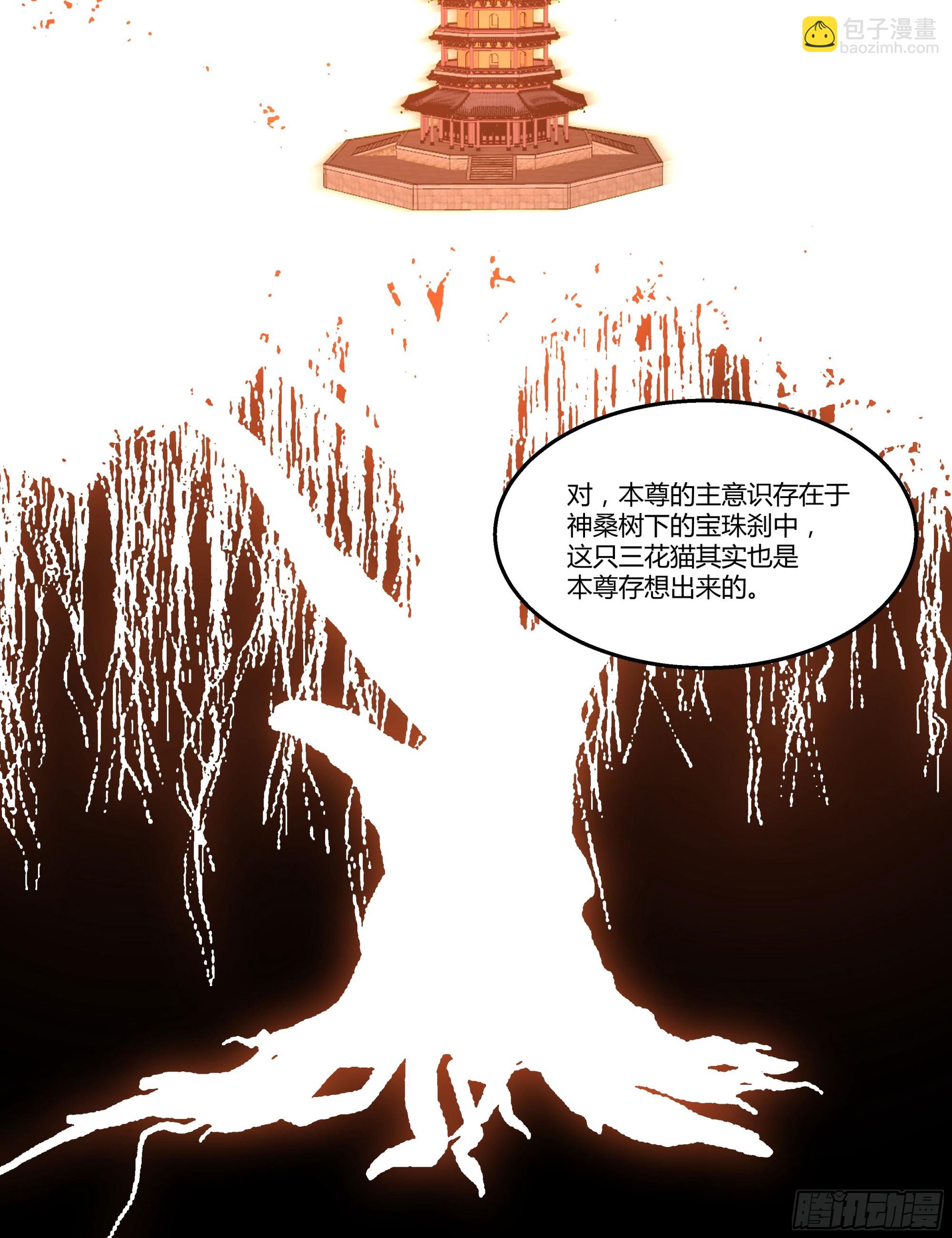 合欢术66