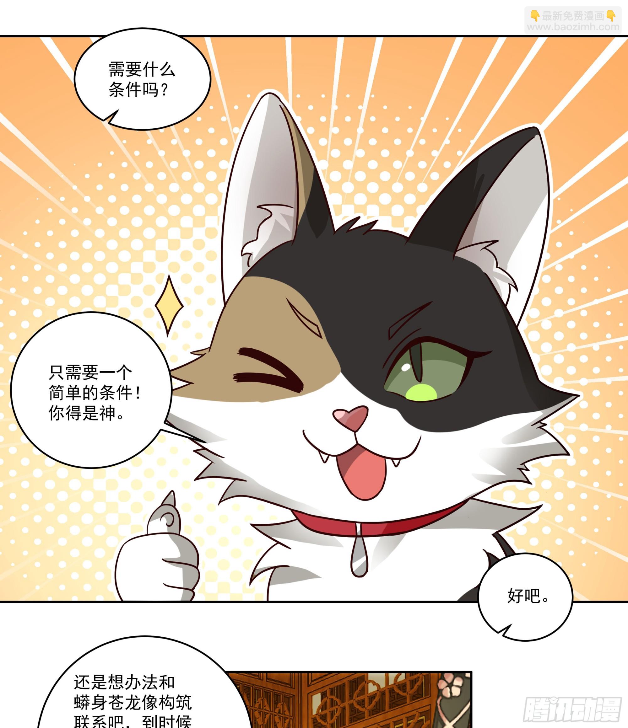 圣子将临11