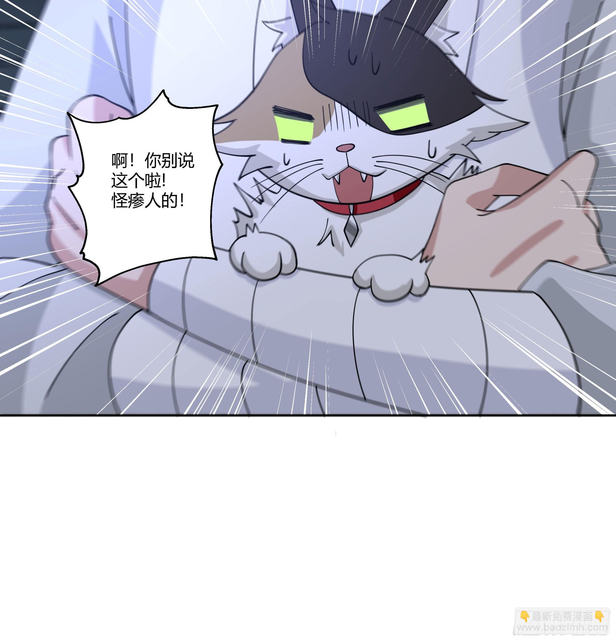 和亲46