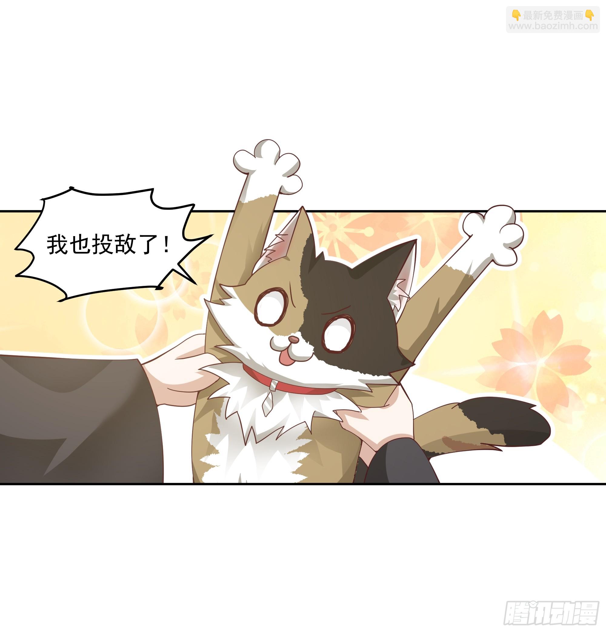 乱战12