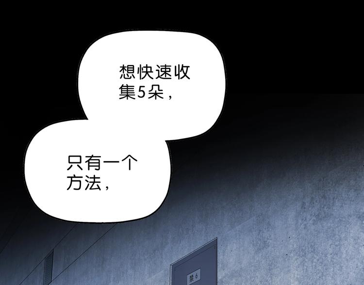 第8话 五朵红花 🌸25