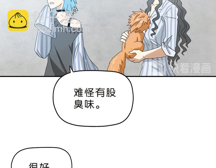 第30话 蝴蝶效应 🦋30