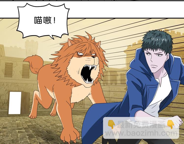 第33话 我变秃了，也变强了！110