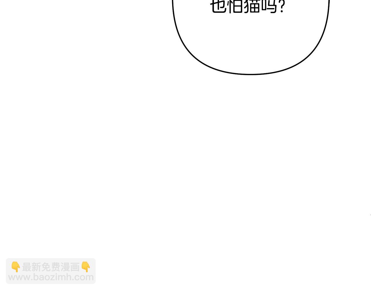 第19话 这是猫宅吗？147