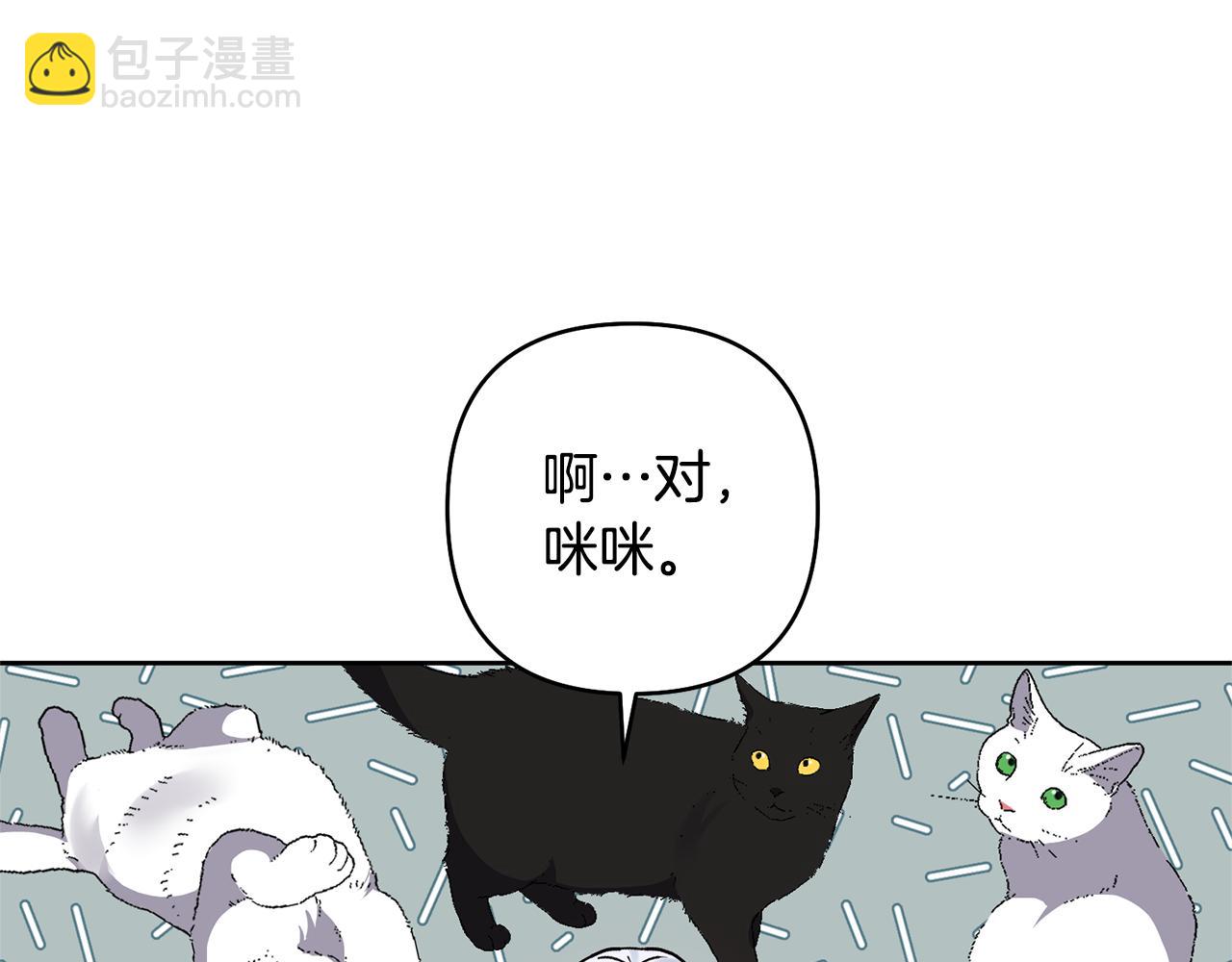 第19话 这是猫宅吗？158