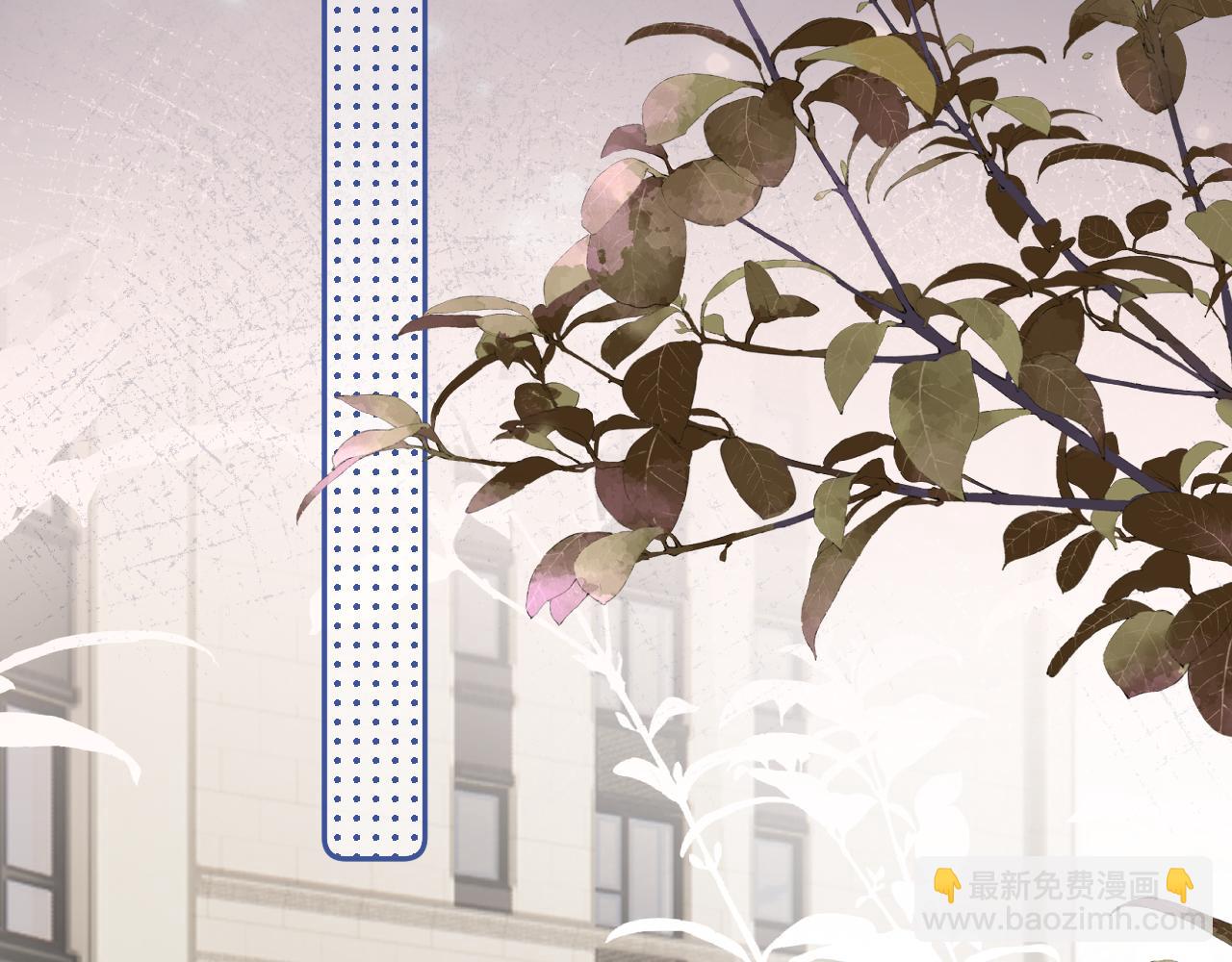 第四十四话 真or假18