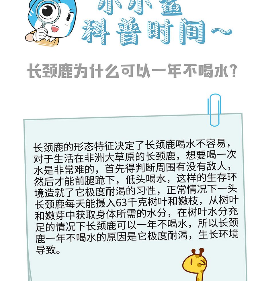 第一百零一话 悄悄话22