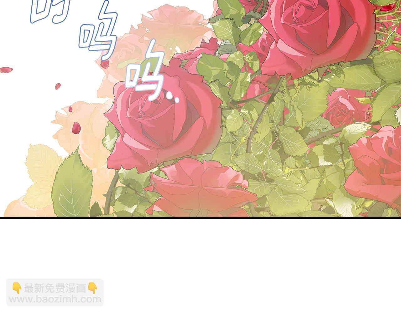 第18话 守护骑士？16