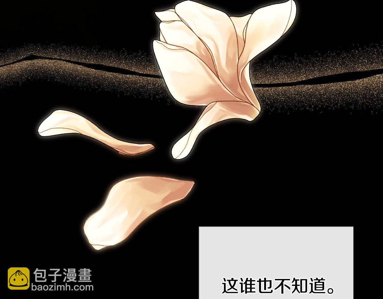 第36话 择偶标准172