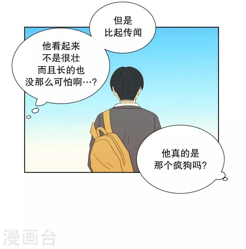 第88话 元尚超与靶子16